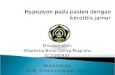 PPT Print - Hypopyon Pada Pasien Dengan Keratitis Jamur