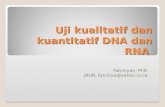 Uji kualitatif dan kuantitatif DNA dan RNA Fatchiyah, PhD JBUB, fatchiya@yahoo.co.id