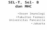 SEL-T, Sel- B dan MHC Dosen Imunologi Fakultas Farmasi Universitas Pancasila Jakarta.