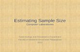 Estimating Sample Size Computer Laboratories Epidemiology and Biostatistics Department Faculty of Medicine Universitas Padjadjaran 2013.