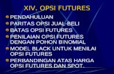 XIV. OPSI FUTURES