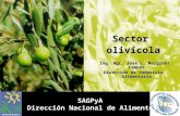 Sector  olivícola  Ing. Agr. José L. Marginet Campos Dirección de Industria Alimentaria