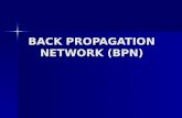 BACK PROPAGATION NETWORK (BPN)