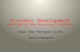 Economic development Macro-Micro; New Structural Economics