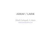 ARRAY / LARIK