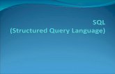 SQL  (Structured Query Language)