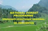 NATIONAL FOREST PROGRAMME (PROGRAM KEHUTANAN NASIONAL ) DI INDONESIA