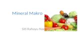 Mineral  Makro