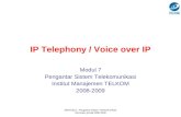 IP Telephony / Voice over IP
