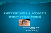 INFEKSI VIRUS DENGUE ( Demam Berdarah  Dengue )