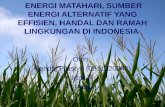 ENERGI MATAHARI, SUMBER ENERGI ALTERNATIF YANG EFFISIEN, HANDAL DAN RAMAH LINGKUNGAN DI INDONESIA