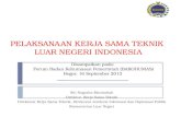 PELAKSANAAN KERJA SAMA TEKNIK  LUAR NEGERI INDONESIA