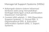 Managerial Support Systems (MSSs)