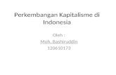 Perkembangan Kapitalisme di Indonesia