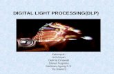 DIGITAL LIGHT PROCESSING(DLP)