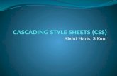 CASCADING STYLE SHEETS (CSS)