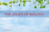 THE STUDY OF BIOLOGY