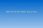 World Wide Web Security