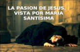 LA PASION DE JESUS,   VISTA POR MARIA SANTÍSIMA