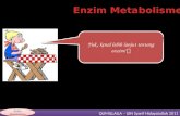 Enzim Metabolisme