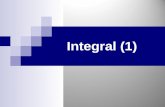 Integral (1)