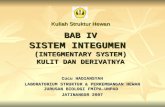 BAB IV SISTEM INTEGUMEN  ( INTEGMENTARY SYSTEM) KULIT DAN DERIVATNYA