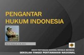 PENGANTAR                               HUKUM INDONESIA