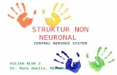 STRUKTUR NON NEURONAL  CENTRAL NERVOUS SYSTEM