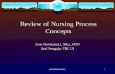 Review of Nursing Process Concepts