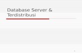 Database Server & Terdistribusi