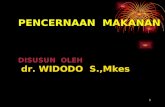 PENCERNAAN  MAKANAN DISUSUN  OLEH dr. WIDODO  S.,Mkes