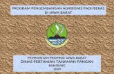 PROGRAM PENGEMBANGAN AGRIBISNIS PADI/BERAS DI JAWA BARAT