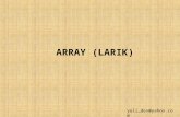 ARRAY (LARIK)