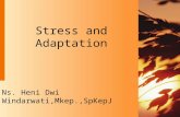 Stress and Adaptation