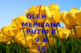 OLEH  :  MERLIANA PUTRI R 9_B 16