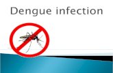 Dengue infection