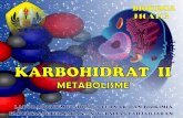 Pengantar Metabolisme Karbohidrat   (KH)