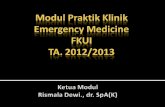 Modul Praktik Klinik  Emergency Medicine FKUI TA. 2012/2013