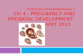 Psikologi Perkembangan 1 Ch 4 : Pregnancy and Prenatal Development  7 Maret 2013