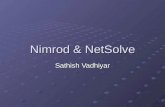 Nimrod & NetSolve