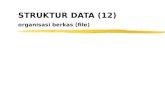STRUKTUR DATA (12) organisasi berkas (file)
