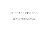 SURFACE FORCES