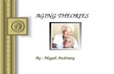AGING THEORIES