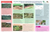 A. Masalah sehubungan dengan pembukaan hutan di kawasan Lindung