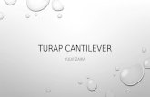 Turap  Cantilever