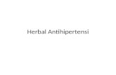 Herbal Antihipertensi