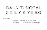DAUN TUNGGAL (Folium simplex)