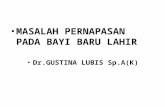 MASALAH PERNAPASAN PADA BAYI BARU LAHIR Dr.GUSTINA LUBIS Sp.A(K)