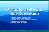 Organisasi Bisnis dan Keuangan