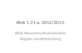 Blok 1.3 t.a. 2012/2013